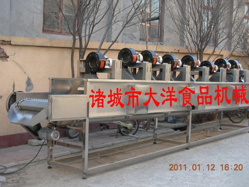 食品风干设备 诸城市大洋食品机械厂